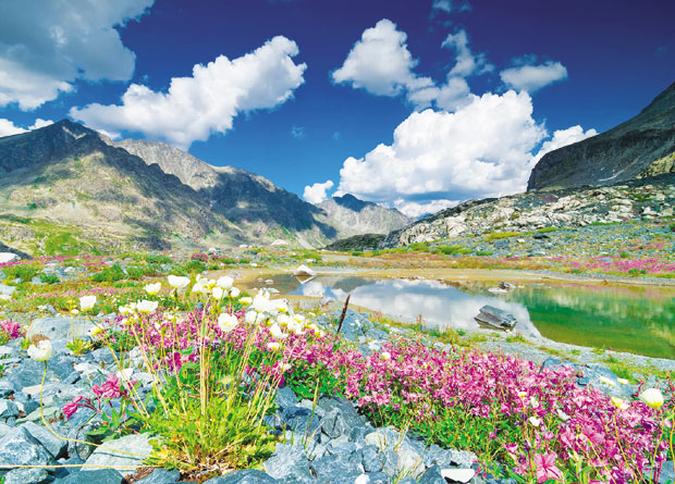 Шта све лечи моћни мумио
